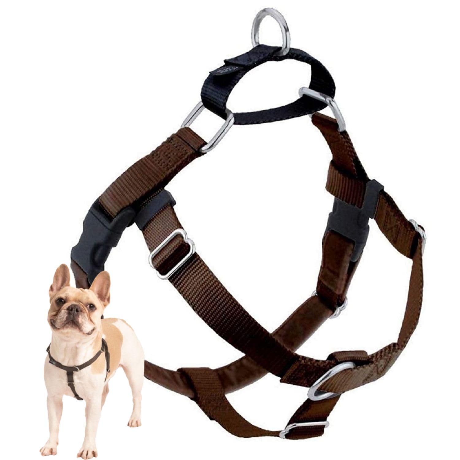 Freedom No Pull Dog Harness, Adjustable Harness, Easy Walking & Comfortable Control, Fits Small, Medium & Large Dogs, Solid Colors, Made in USA, 1" MD, Brown
