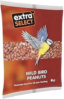 Whole Peanuts for Wild Birds: Wild Bird Food Peanuts & Squirrel Food - 3kg Bag
