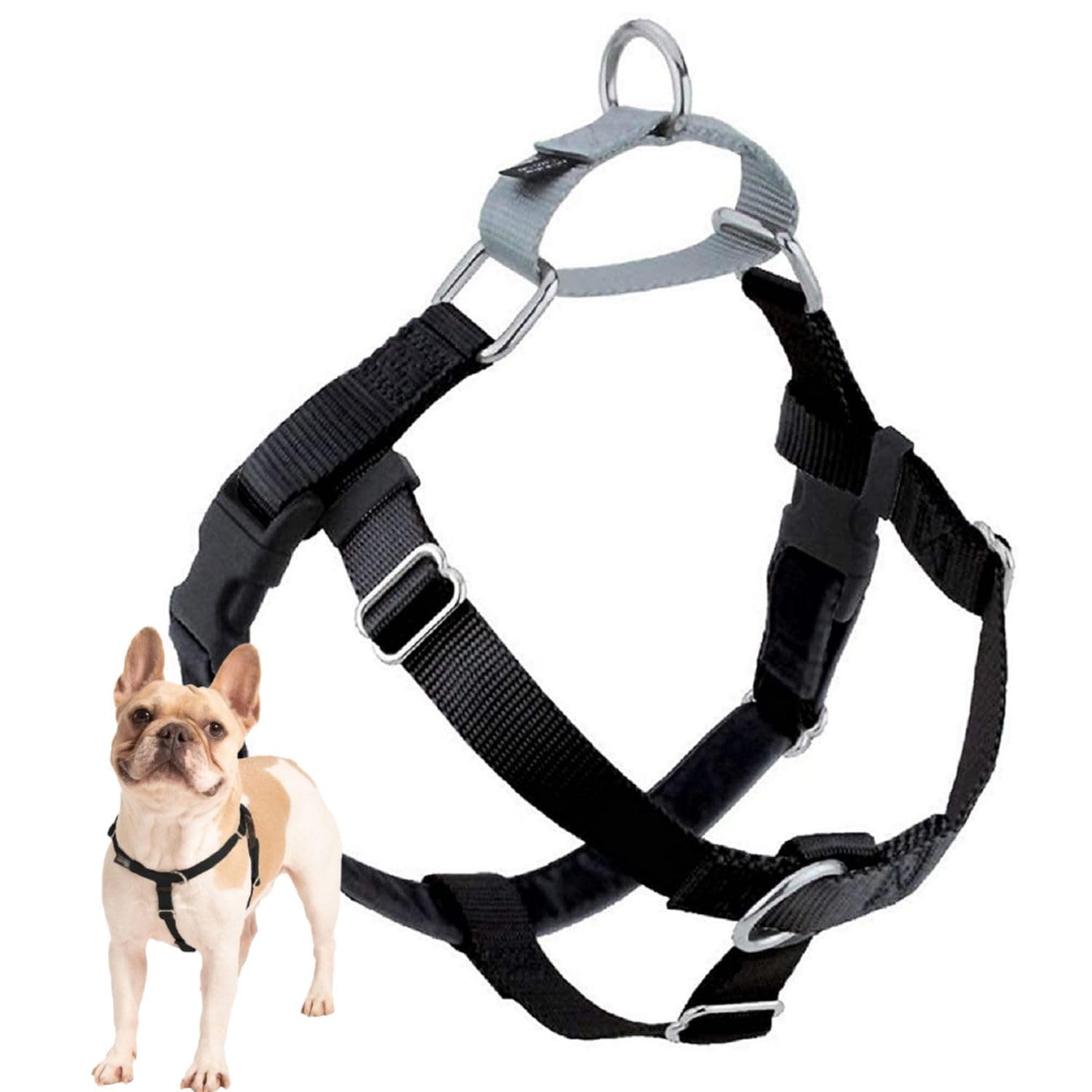 2 Hounds Design Freedom No Pull Dog Harness, Adjustable Harness, Easy Walking & Comfortable Control, Fits Small, Medium & Large Dogs, Solid Colors, Made in USA, 1" MD, Black