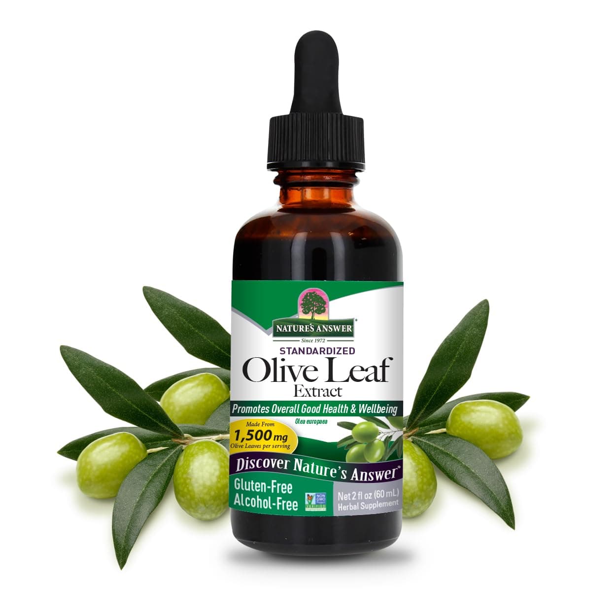 Nature's Answer Olive Leaf Extract, Alcohol-Free, Non-GMO, Vegan, Gluten-Free, Made in USA, 2 Ounce | Olive Leaf Extract for Wellness