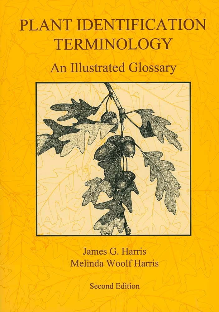 Plant Identification Terminology: An Illustrated Glossary