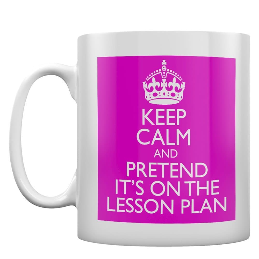 Keep Calm and Pretend Its On The Lesson Plan Pink Mug Cup Gift Retro