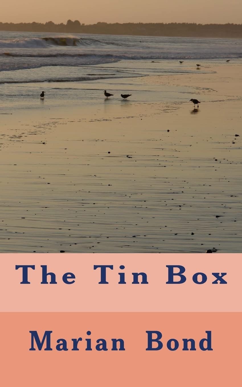 The Tin Box Paperback – 24 Mar. 2015