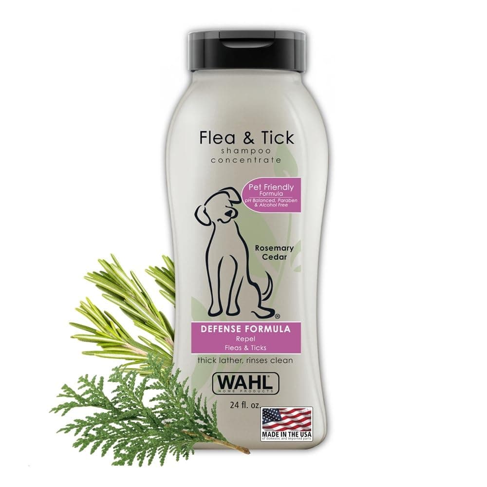 Oatmeal Waterless Shampoo