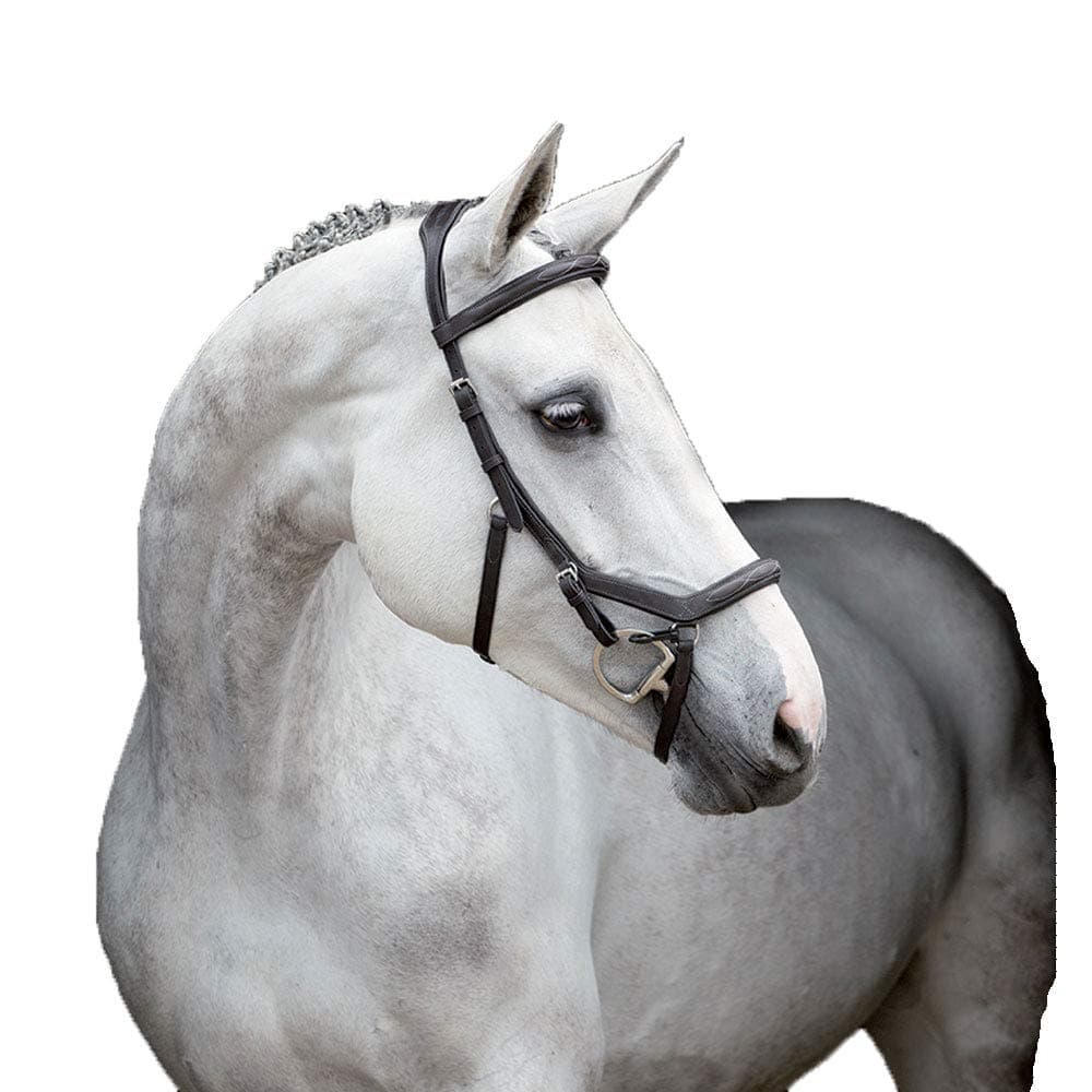 Rambo Micklem Deluxe Competition Bridle