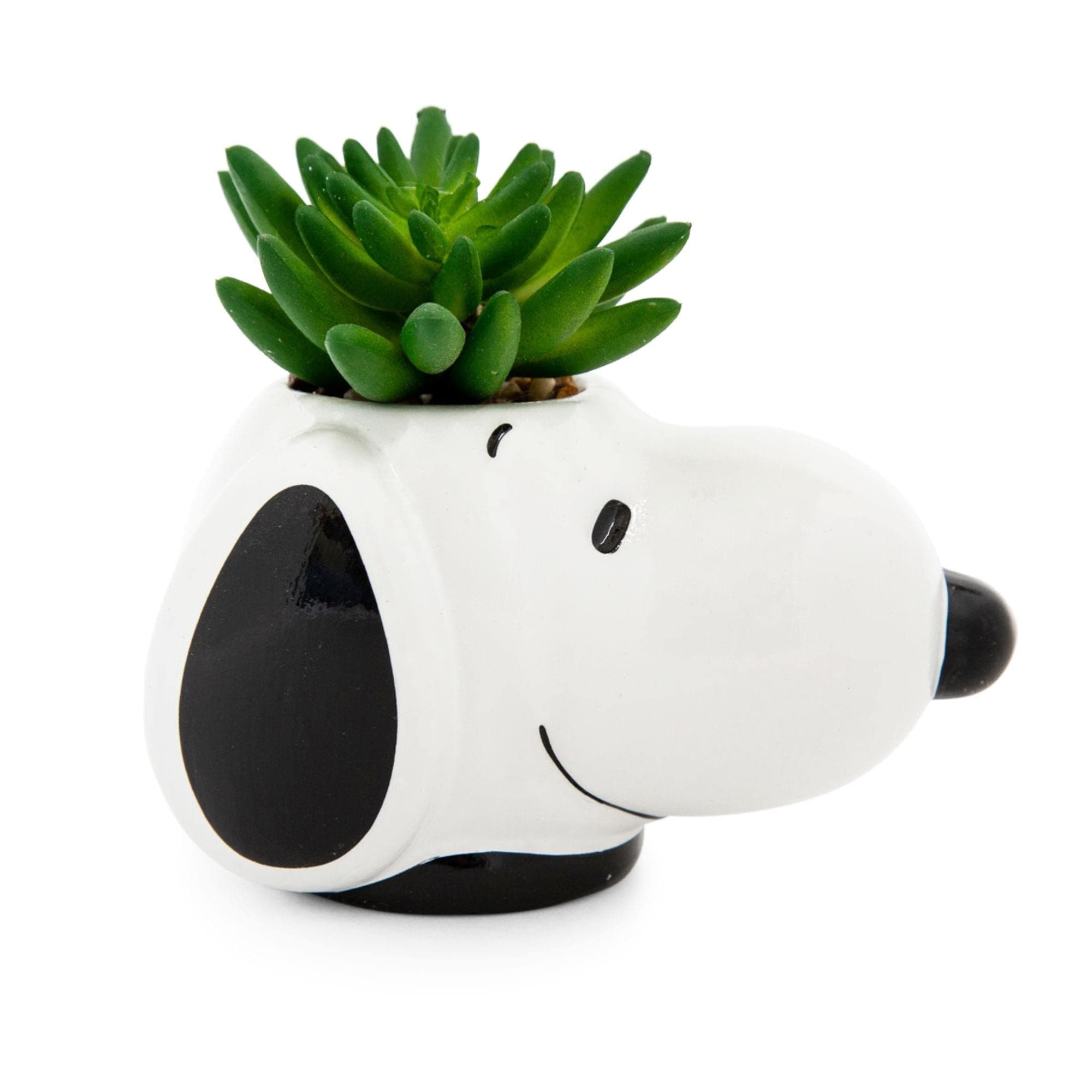 Snoopy Face Ceramic Mini Planter With Artificial Succulent | Small Flower Pot, Faux Indoor Plants For Desk Shelf, Home Decor Trinket Tray | Cute Charlie Brown Gifts and Collectibles