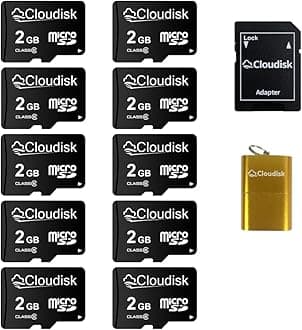Cloudisk Pack of 10 Micro SD Card 2GB Flash Memory Card C6 with SD Adapter, Card Reader (2GB)