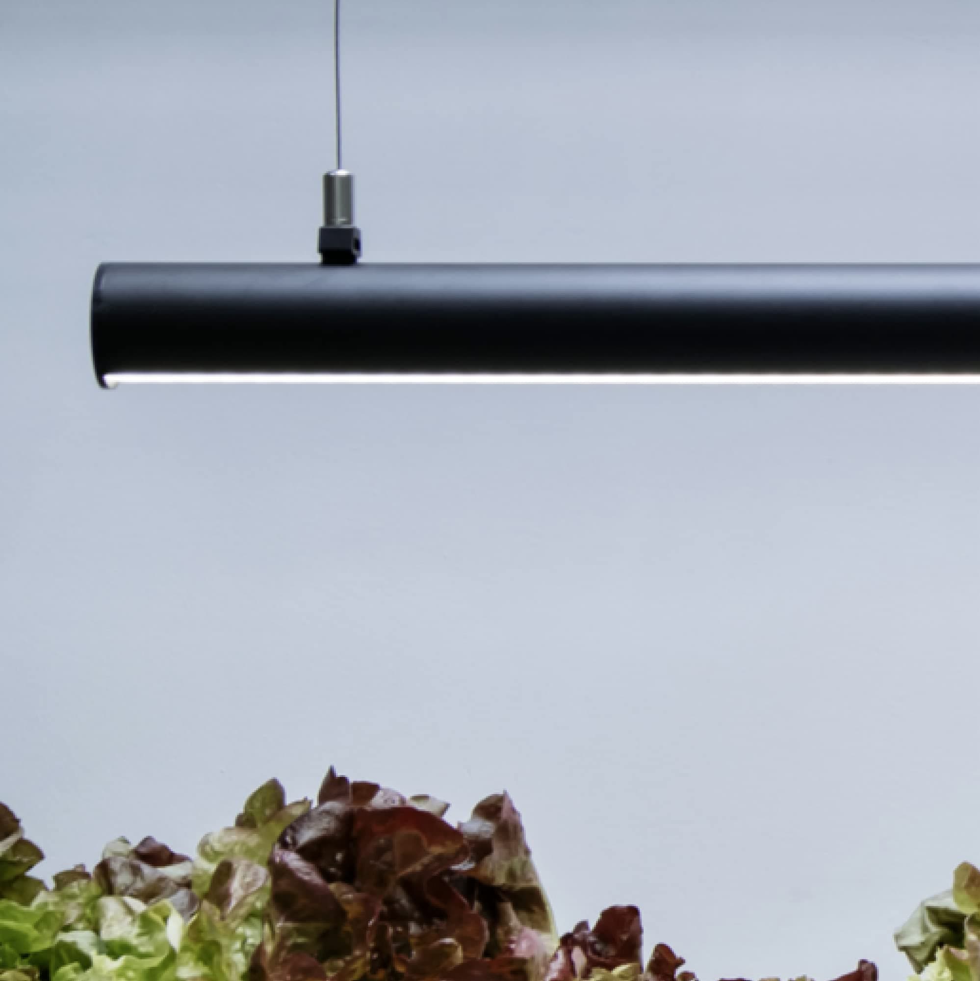 MOTHER Steel Wire Mounts