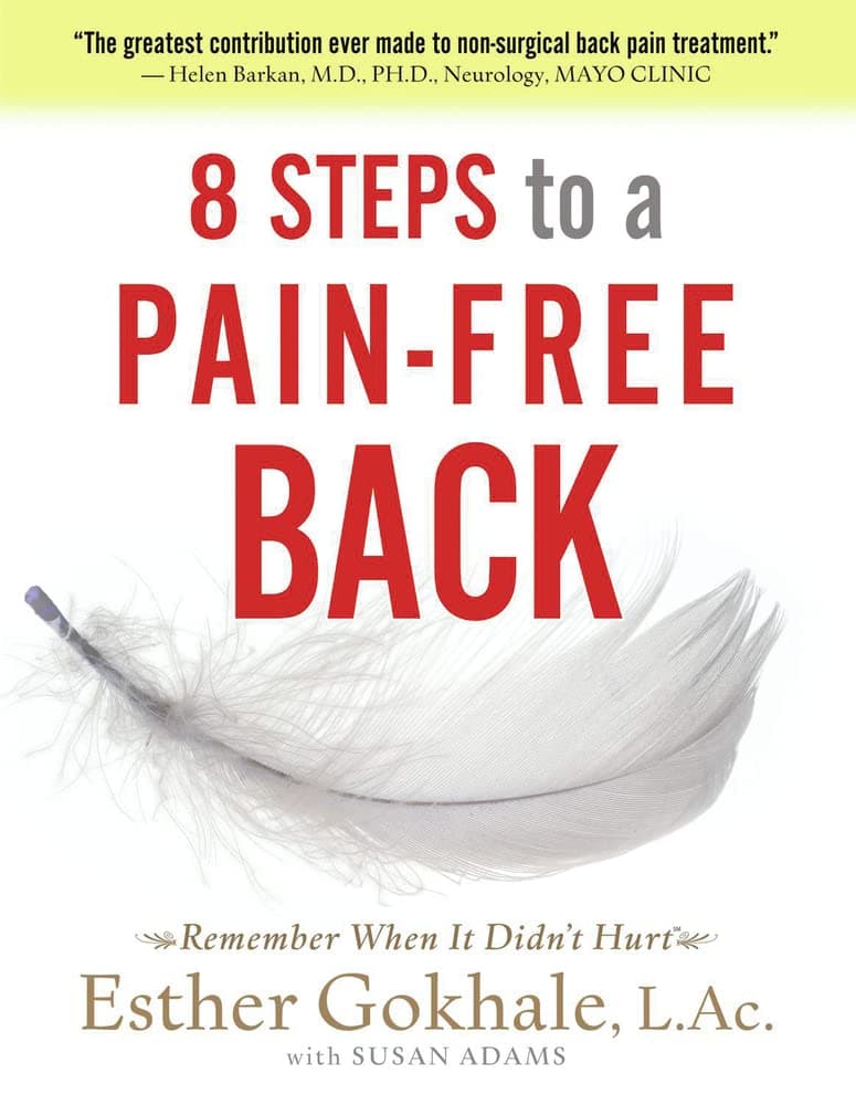 8 Steps to a Pain-Free Back: Natural Posture Solutions for Pain in the Back, Neck, Shoulder, Hip, Knee, and Foot (Remember When It Didn't Hurt)