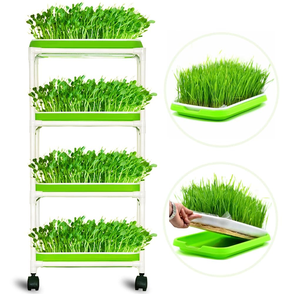 4 Layers Sprout Trays with Extra Strength Plastic Shelf Soil-Free Healthy Wheatgrass Seeds Grower & Storage Trays for Garden Home Office