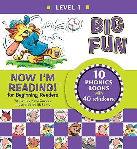 Now I'm Reading! Level 1: Big Fun (NIR! Leveled Readers) Novelty Book – Teacher's Edition, February 16, 2016