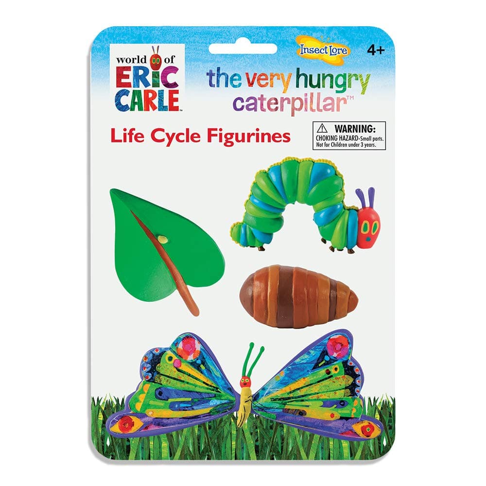 The Very Hungry Caterpillar Lifecycle Stages
