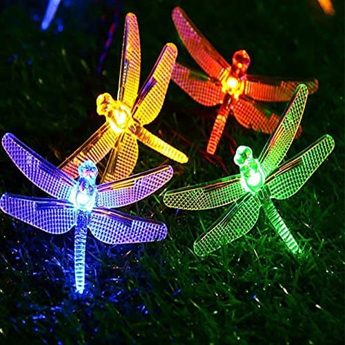 Dragonfly Lights Solar Powered