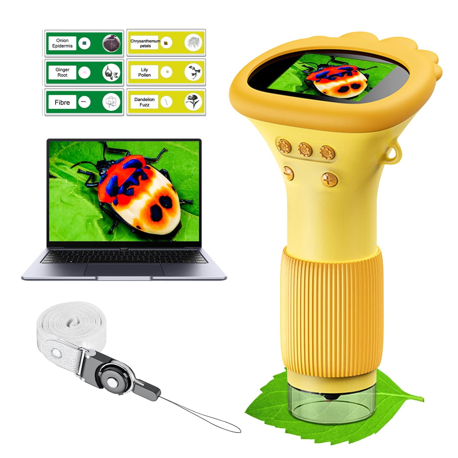 WINWEND Kids Microscope Pocket Microscope -1000X Portable Microscope for Kid | Photo and Video Mini Microscopes | 2'' Digital Little Scientist Microscopes for 3-10 Age Years Old Boys Girls Toys Gifts