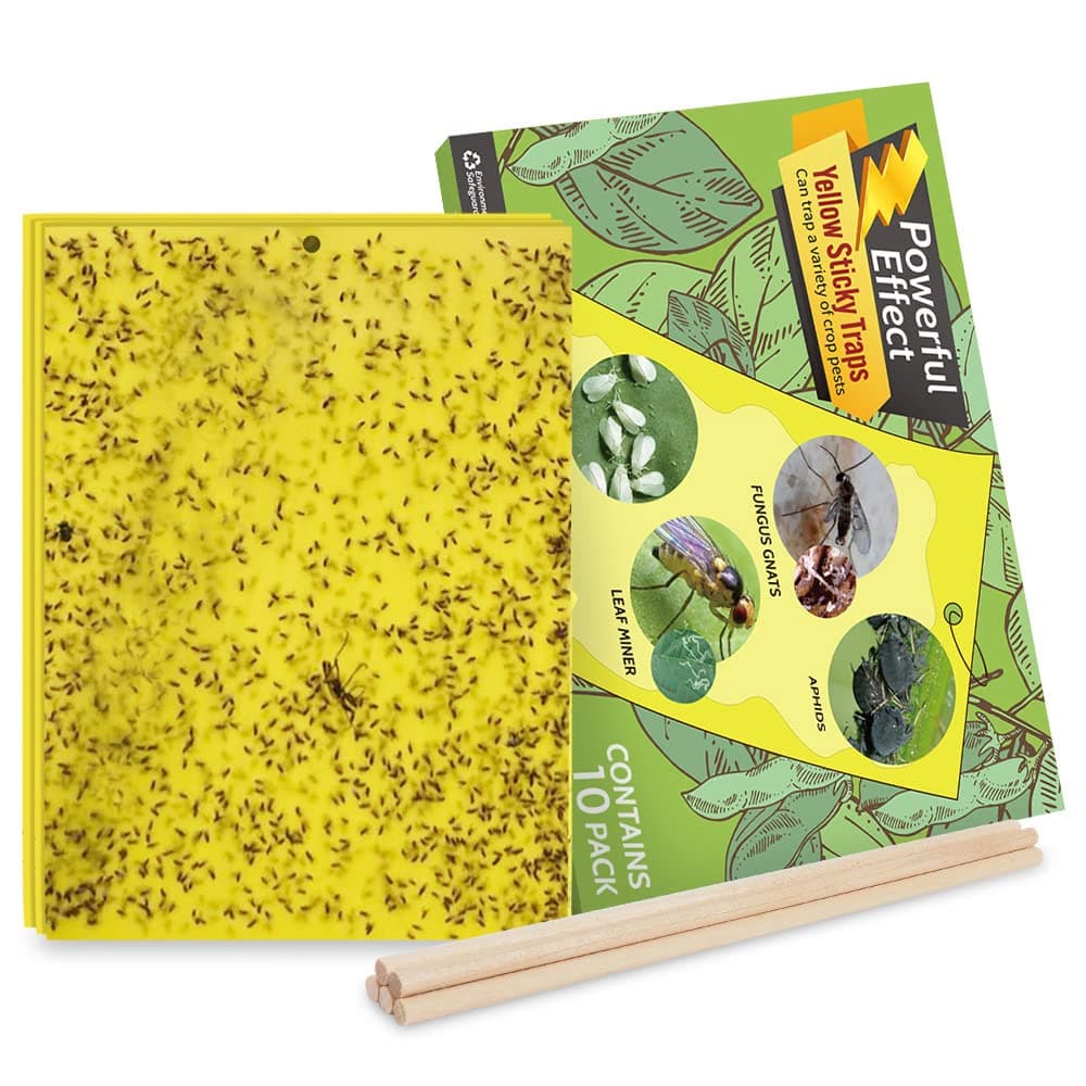 Kensizer 10-Pack Fruit Fly Trap, Yellow Sticky Gnat Trap Killer for Indoor/Outdoor Flying Plant Insect Like Fungus Gnat, Whiteflies, Aphids, Leaf Miners - 6x8 in, Twist Ties Included