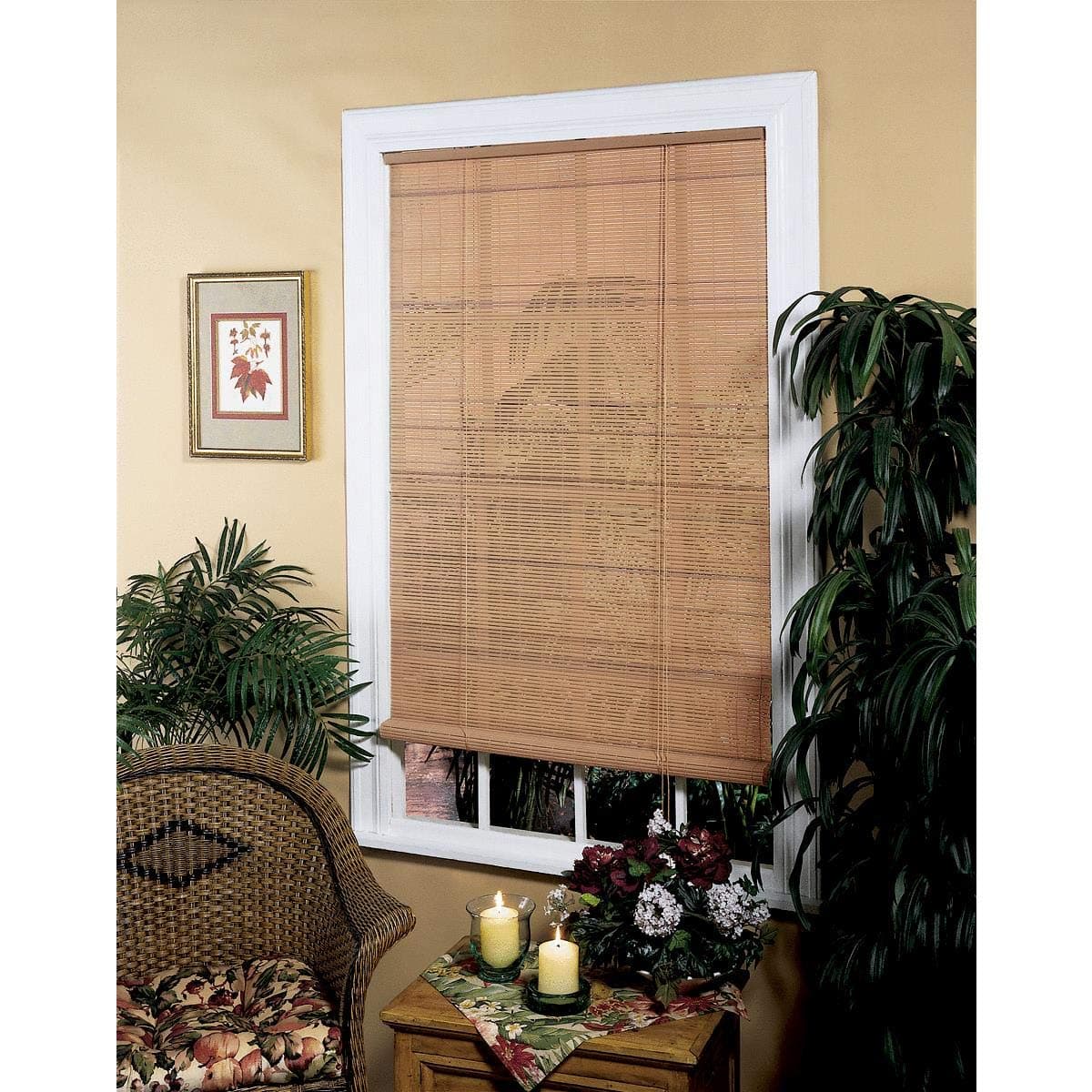 Lewis Hyman Roll Up Blind 3ft. X 6ft.