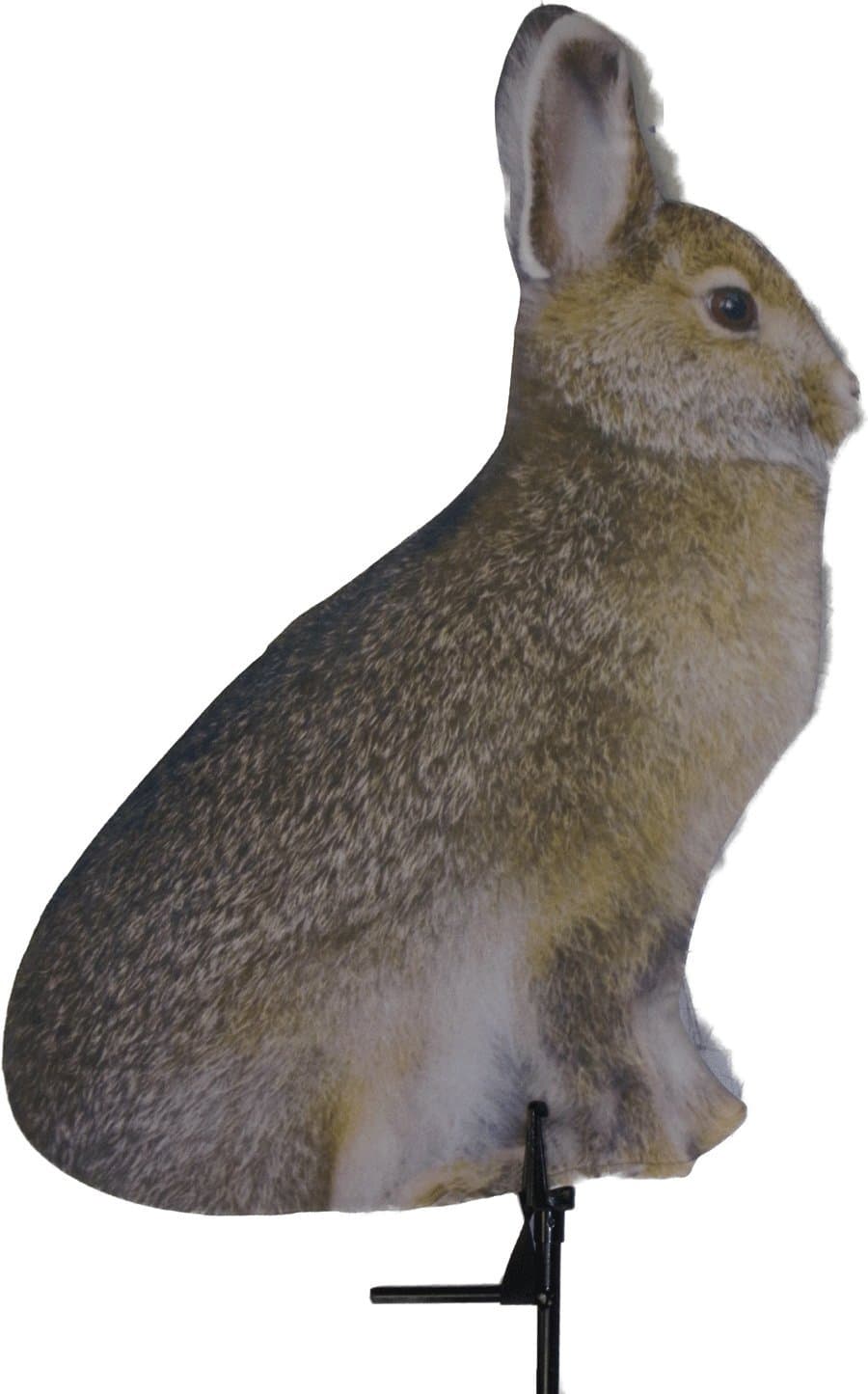 Miss Hoptober Predator Decoy