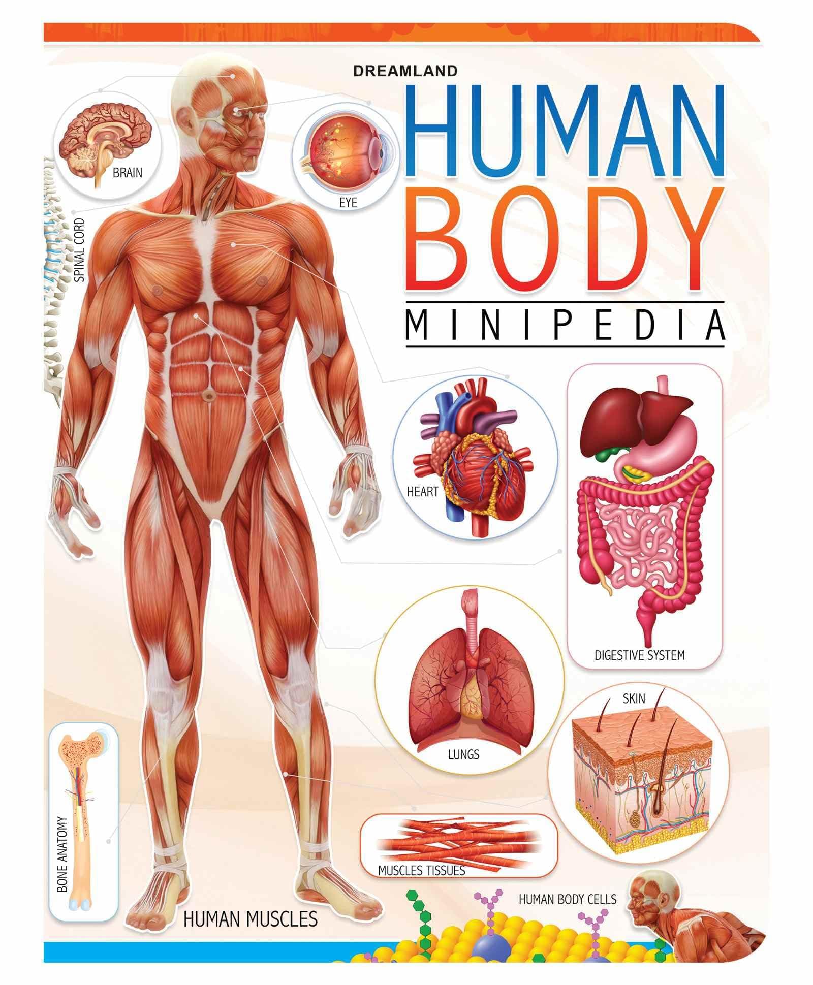 Human Body Minipedia