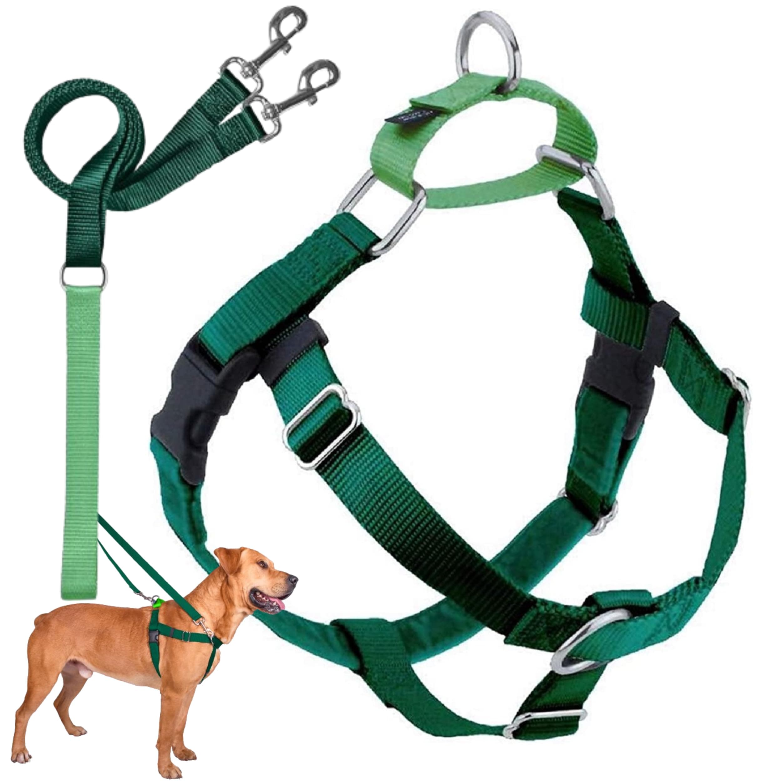 2 Hounds Design Freedom No-Pull Dog Harness with Leash, Large, 1-Inch Wide, Kelly Green