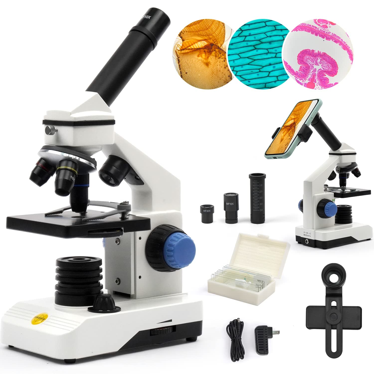 Compound Monocular Microscope Kit for Students Beginners, 80X-2000X STEM Kit with All Metal Body Microscope, Carrying Box for Laboratory Home Education