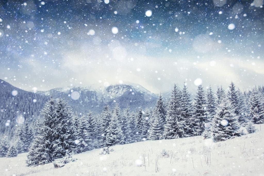 Winter Poster Snowy Night Mountain Forest Pine Trees Posters Cool Wall Art Print Poster 36x24