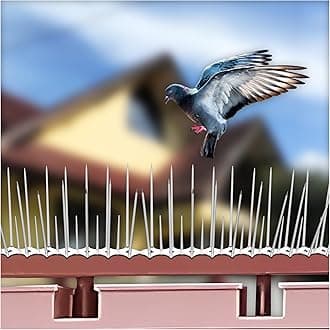 SWAPKART (Pack of 80) Bird and Pigeon Spikes, Pigeon Control Spikes Anti Bird Plastic Spikes for AC Balcony Railing Window Home Protection from Pigeon Dog Monkey Crow Kabootar Transparent