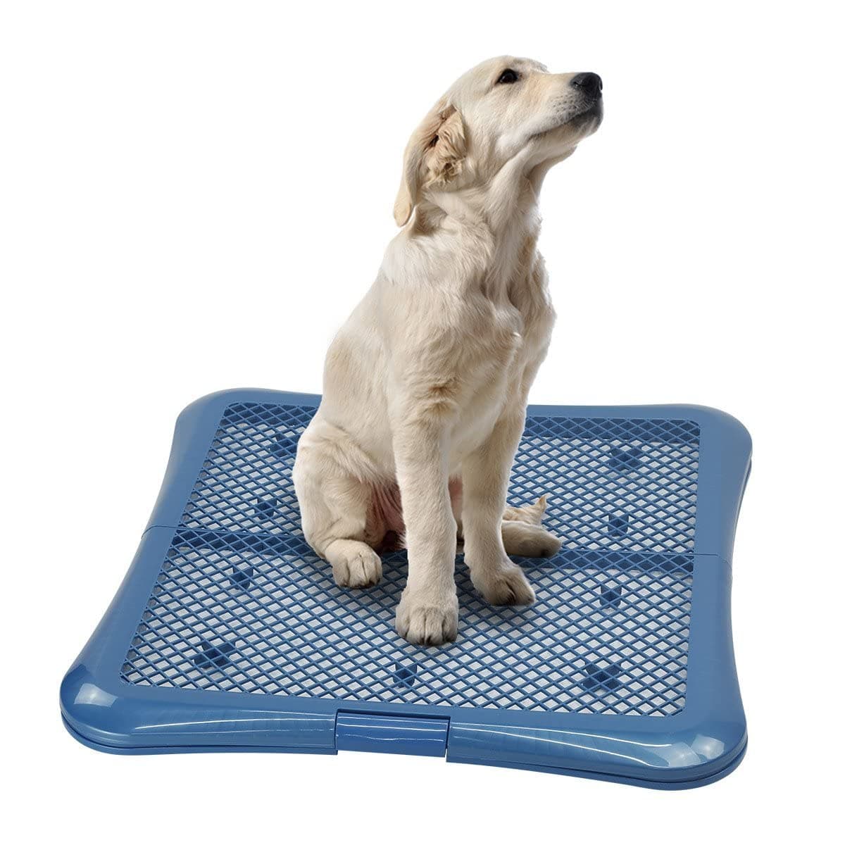 petphabet Training Pad Holder Floor Protection Dog Pad Holder Mesh Training Tray (L-24"x24")…