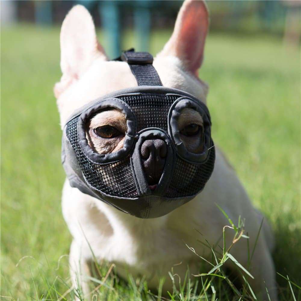 Short Snout Dog Muzzles- Bulldog Muzzle Breathable Mesh Dog Mask for Biting Chewing Training Licking Grooming (Grey, Small/9"-12"))