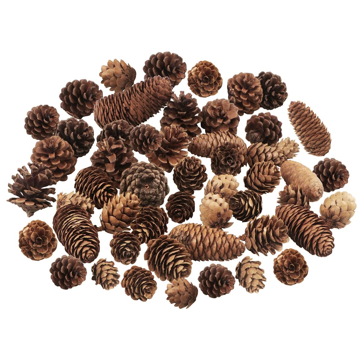 Jangostor 40PCS Natural Pine Cones Set Decoration Rustic Pine Cones Wreath Making Supplies for DIY Crafts Home Xmas Tree Winter Wreath Garland Wedding Decor