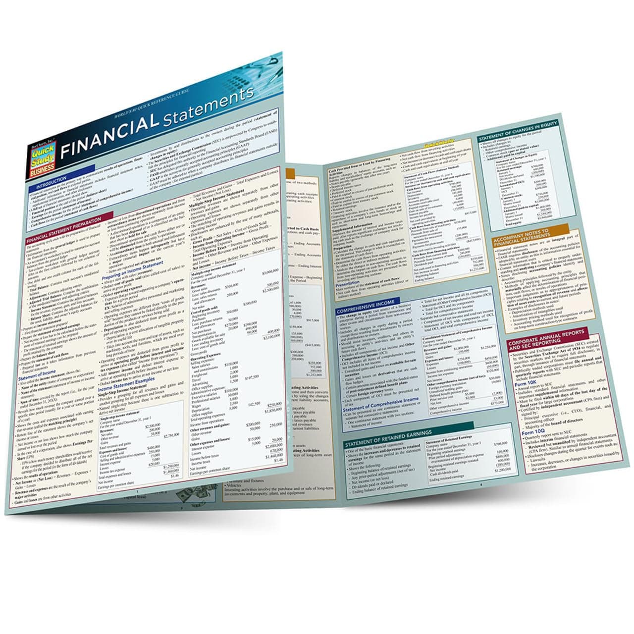 Financial Statements: QuickStudy Laminated Reference Guide