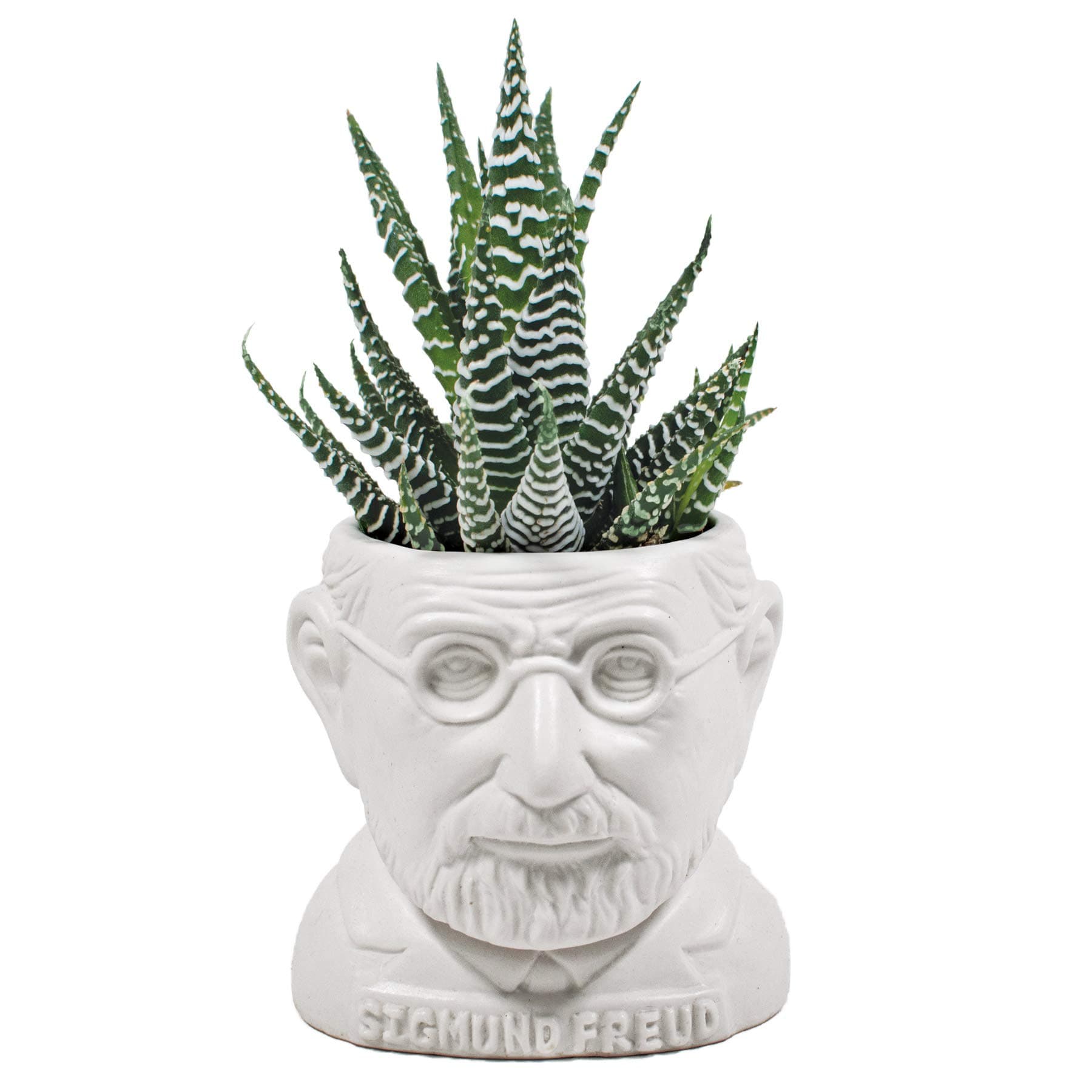 Sigmund Freud Bust Ceramic Planter