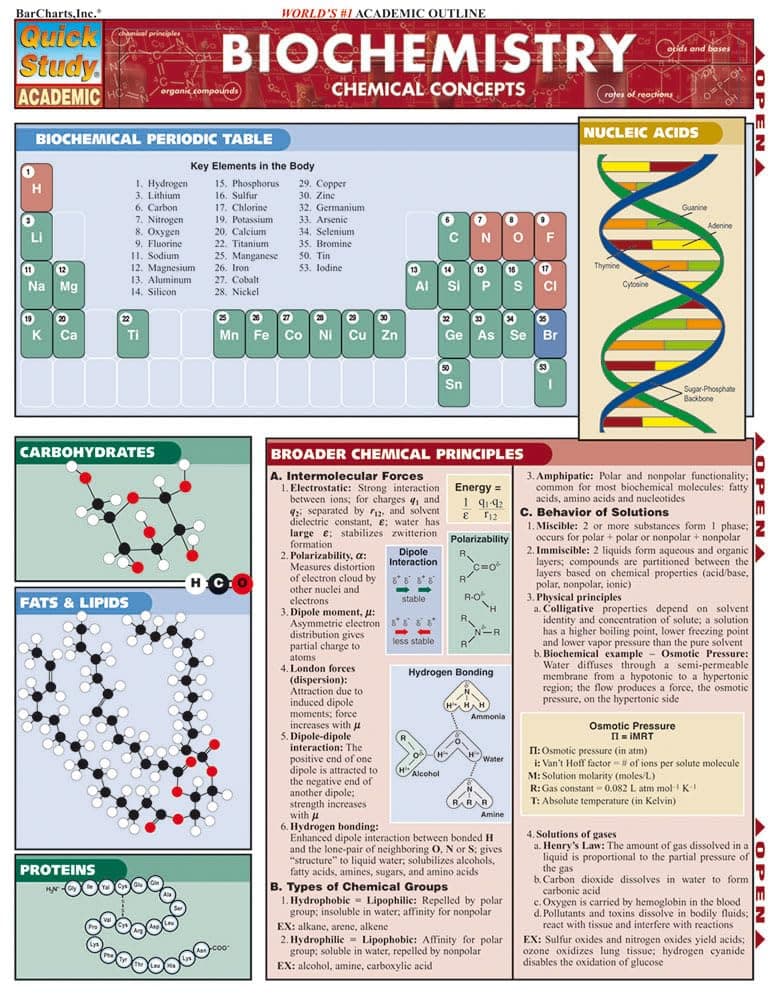 Biochemistry QuickStudy Laminated Reference Guide (QuickStudy Academic)