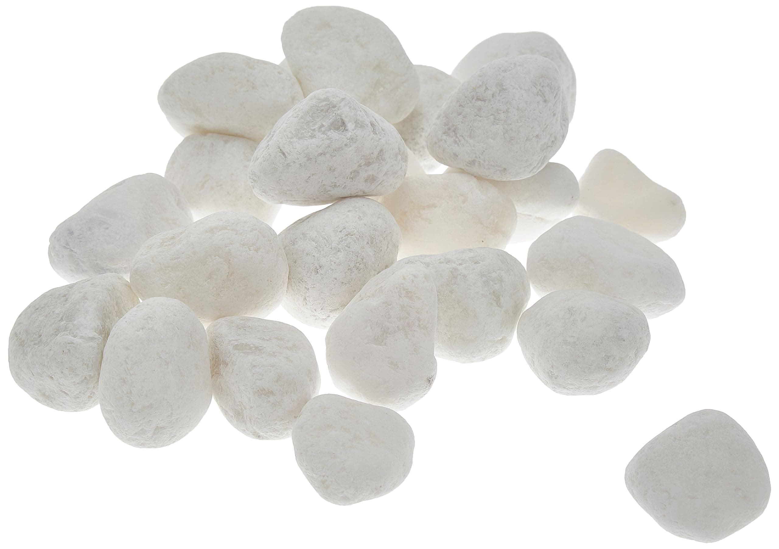 2 Pounds Medium White Rolled Marble Decorative Stone Rocks, 32 oz Bag, Indoor or Outdoor Decorative Stones for Craft Projects, Vase Fillers, Succulents, Cactus Pots, Terrarium Plants (3/4" - 1 1/2")