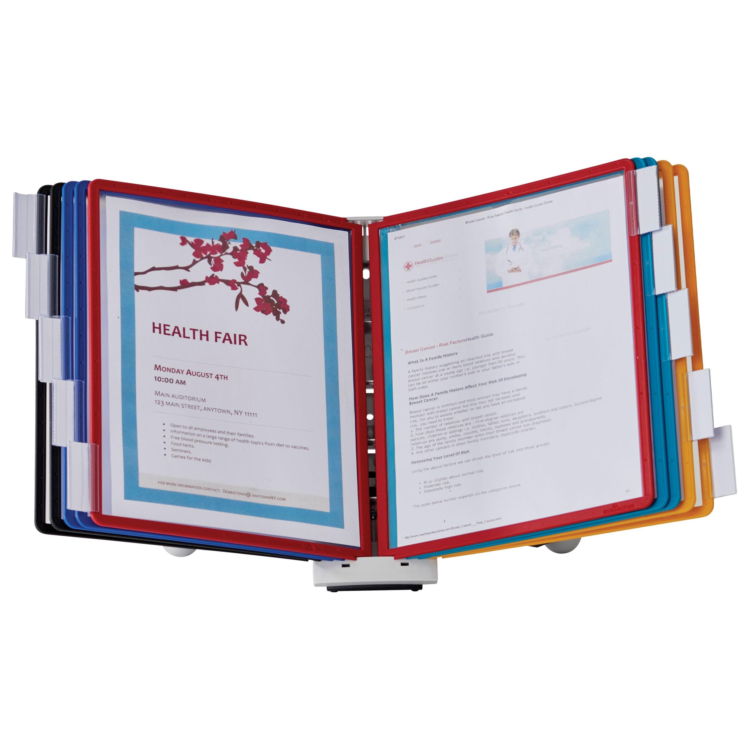 Desktop Reference System, 10 Double-Sided Panels, Letter-Size, Assorted Colors, Sherpa Design (554200)