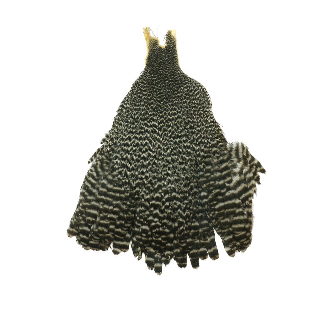 Metz Hen Neck - Grade 1