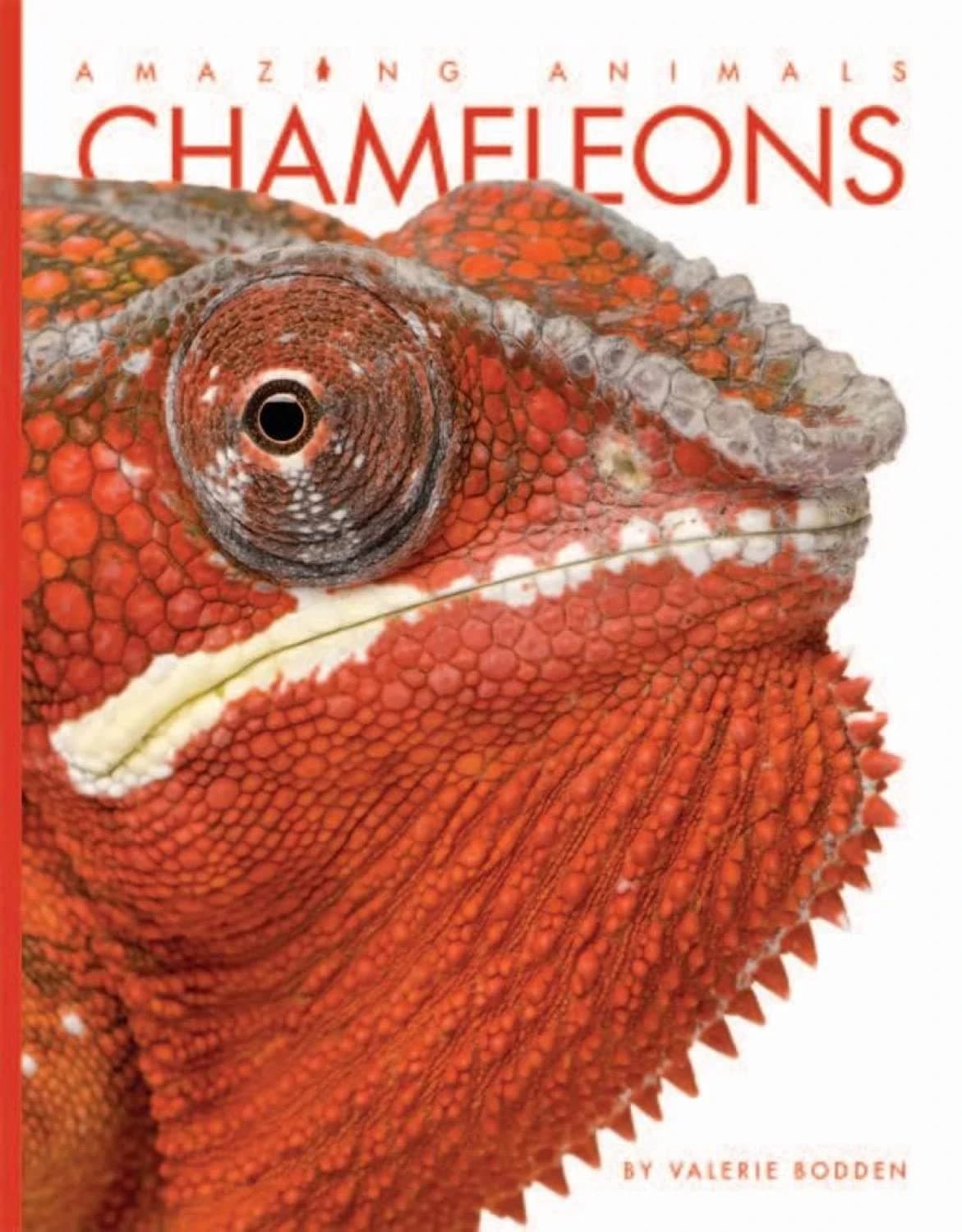 Chameleons (Amazing Animals) Paperback – August 16, 2016