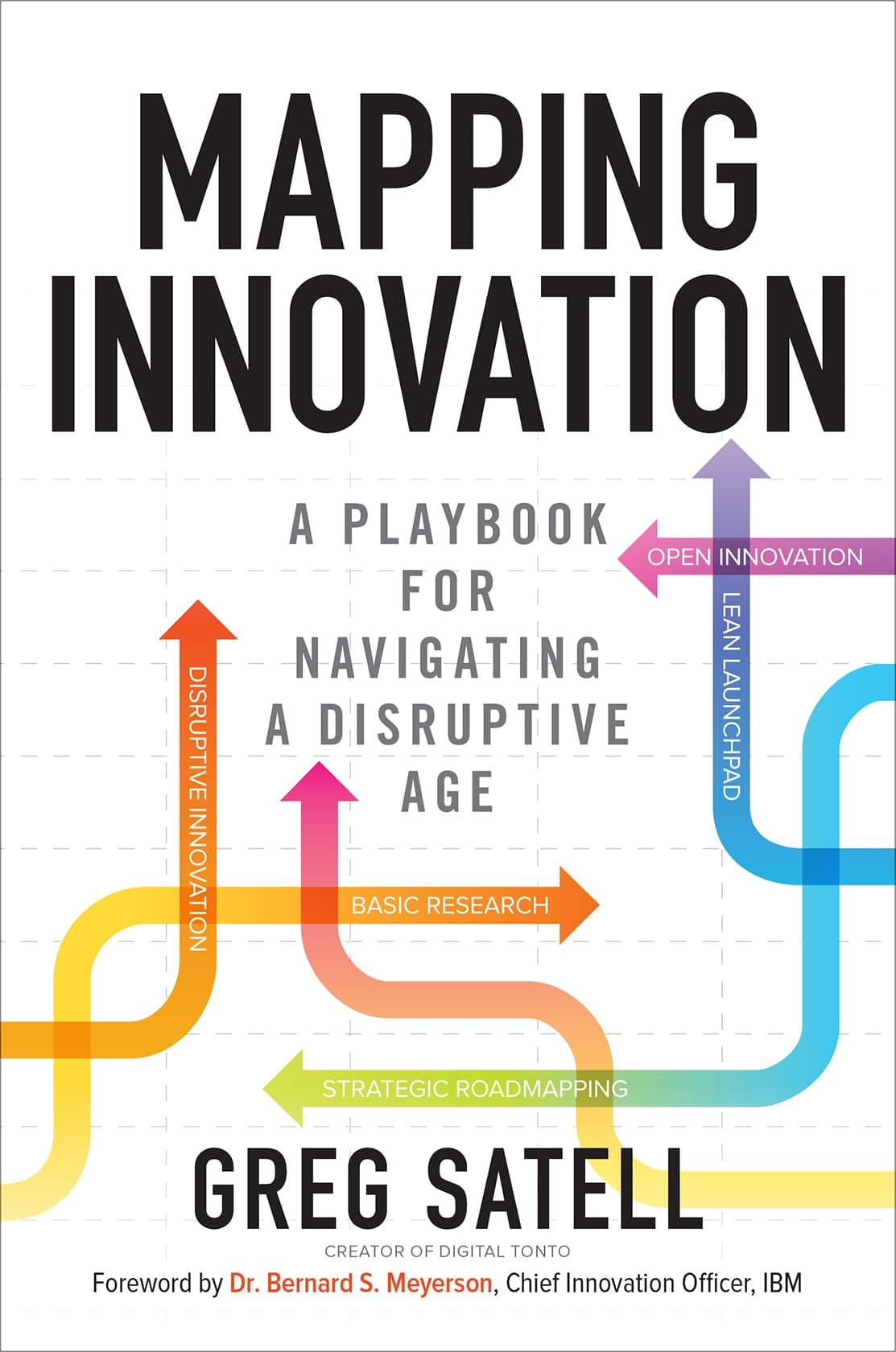 Mapping Innovation: A Playbook for Navigating a Disruptive Age Hardcover – May 23, 2017