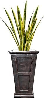 Vintage Home Artificial Faux Real Touch Snake Plant (Sansevieria) (VHX121201)