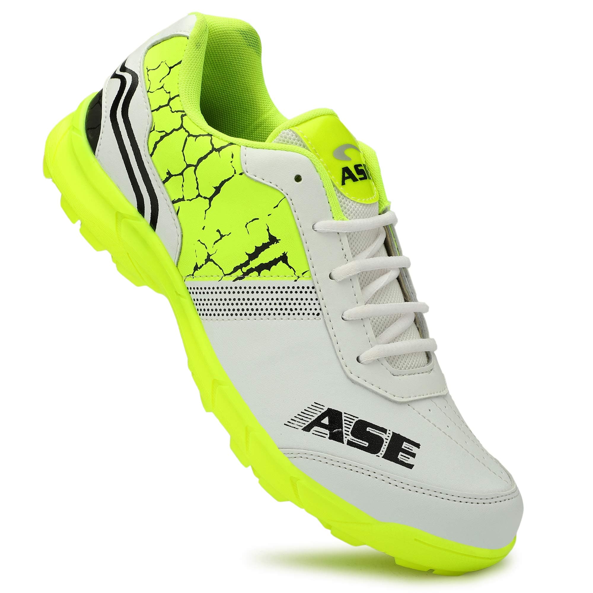 ASE Men's Professional Cricket Shoes