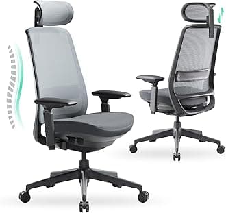 COLAMY Ergonomic Office Chair, Mesh Desk Chair with High Back, Lumbar Support, Adjustable Headrest and 4D Arms, Slide Seat-BlackGrey