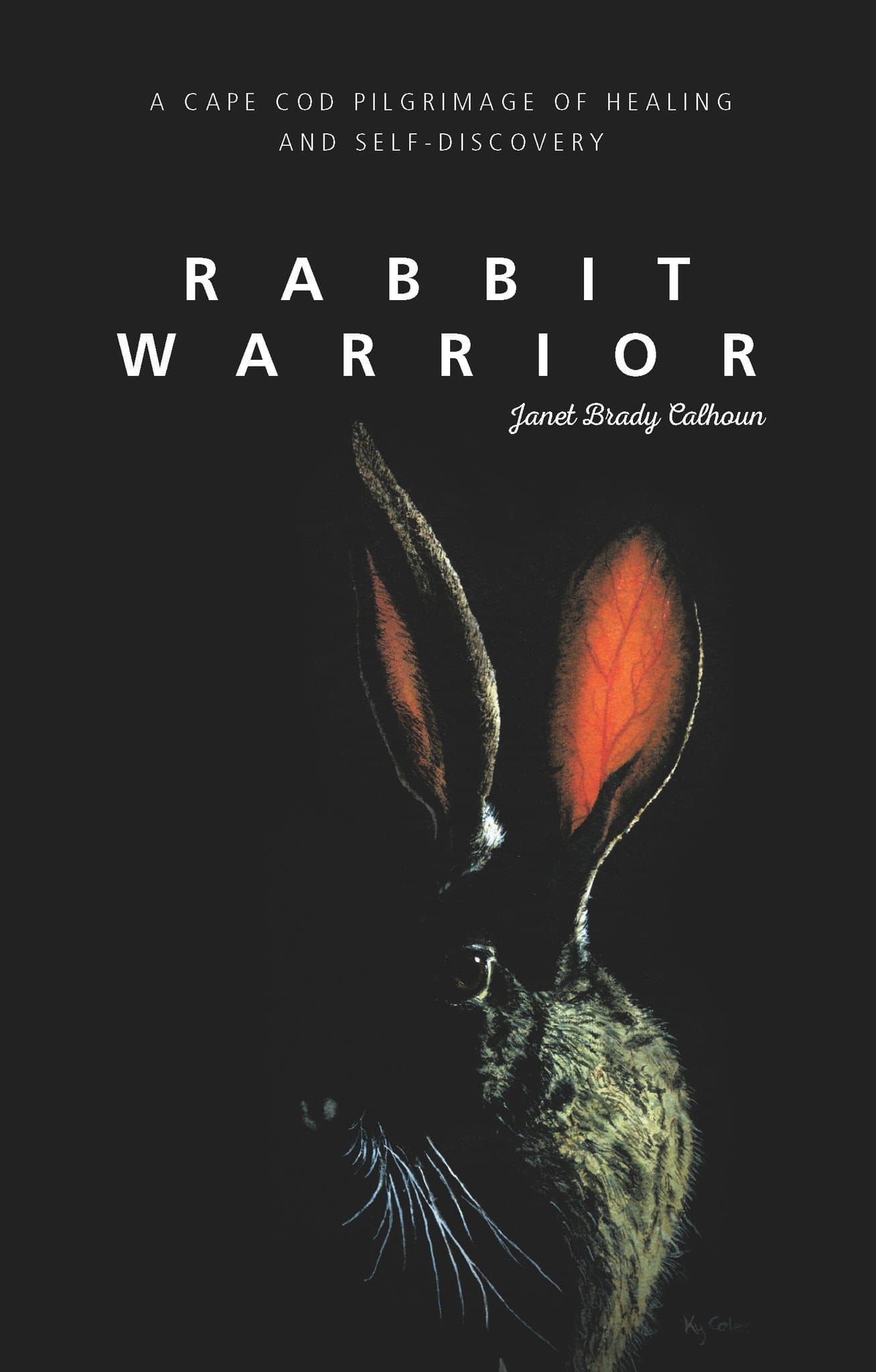 Rabbit Warrior: A Cape Cod Pilgrimage of Healing and Self-Discovery Paperback – November 16, 2016