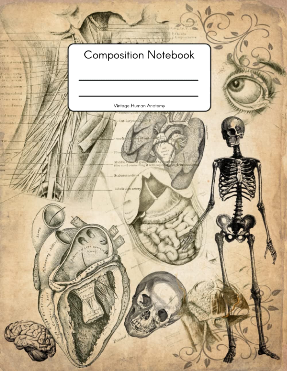 Vintage Human Anatomy Composition Notebook: A College Ruled Notebook for School Kids
