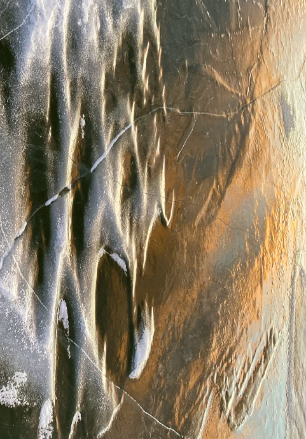 Daily Wellness Journal: Perceive Creations