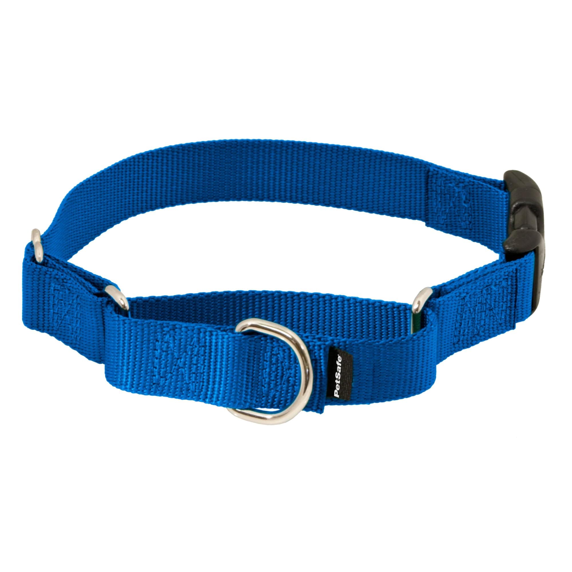 PetSafe Martingale Collar with Quick Snap Buckle, 1" Medium, Royal Blue
