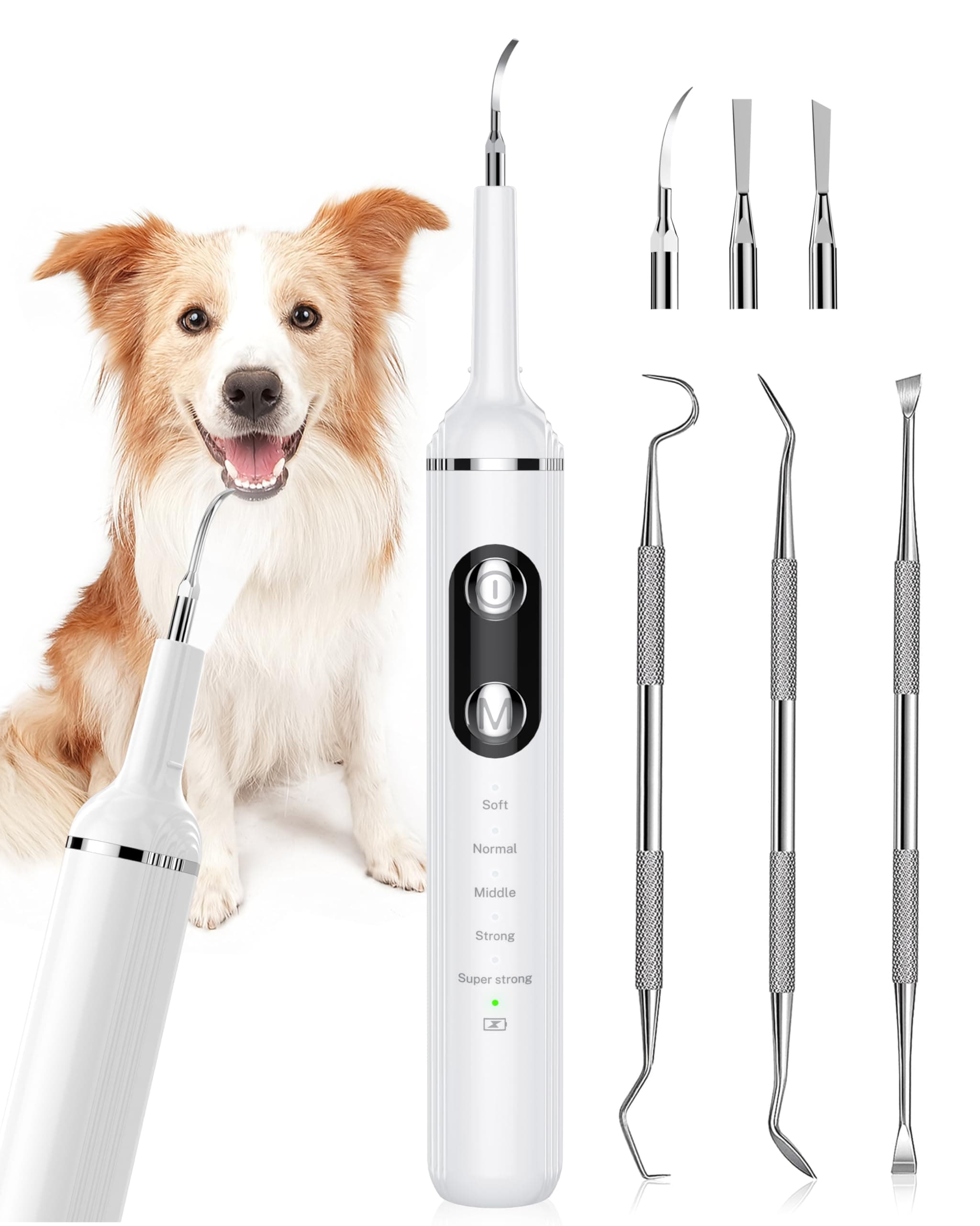 – Plaque Remover for Teeth, Pet Tooth Brushing Kit, Dental Tools for Removing Plaque and Tartar, Safe for Dog and Cat, with LED Light, White
