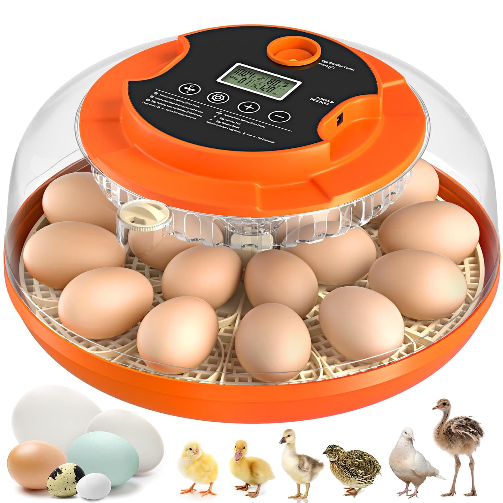 18 Egg Incubator with Automatic Egg Turning and Humidity Control, Incubators for Hatching Eggs, Chicken, Ducks, Goose, Pigeon, Quail, Parrot Incubator for Farm, Lab, Science Classroom, Home (Orange)