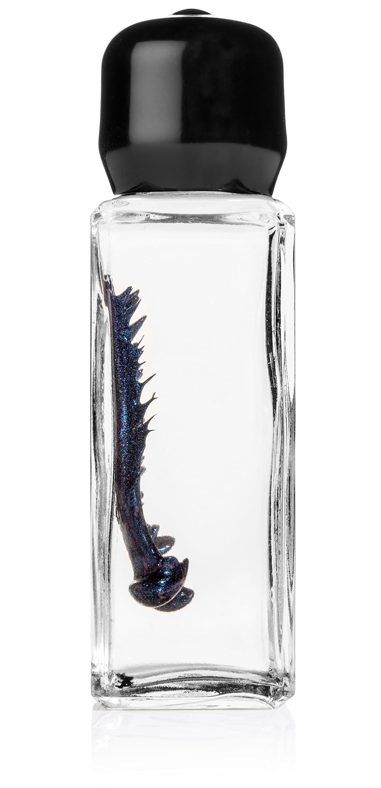 Inspired Designs Blue Colored Ferrofluid in a Bottle Display