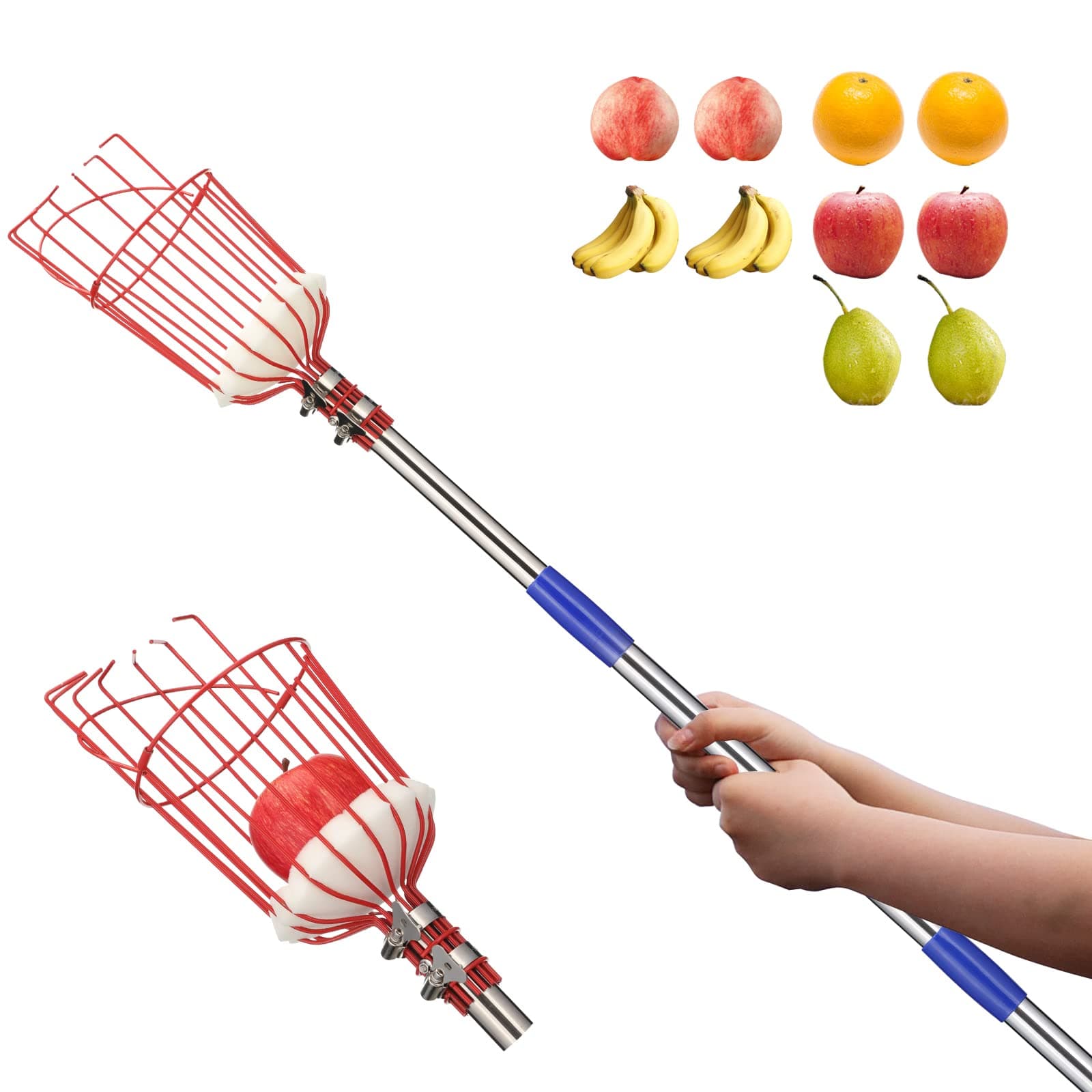 BsBsBest Fruit Picker Pole with Basket - 10 Foot Adjustable Height Fruit Picker Tool with Stainless Steel Fruit Picking Pole for Apple Cherry Berry Fit Orange Blueberry Mango Avocado Lemon Peach