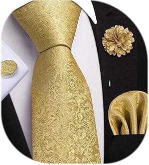 Dubulle 4pcs Lapel Pin and Necktie Hankerchief Cufflinks Set for Men
