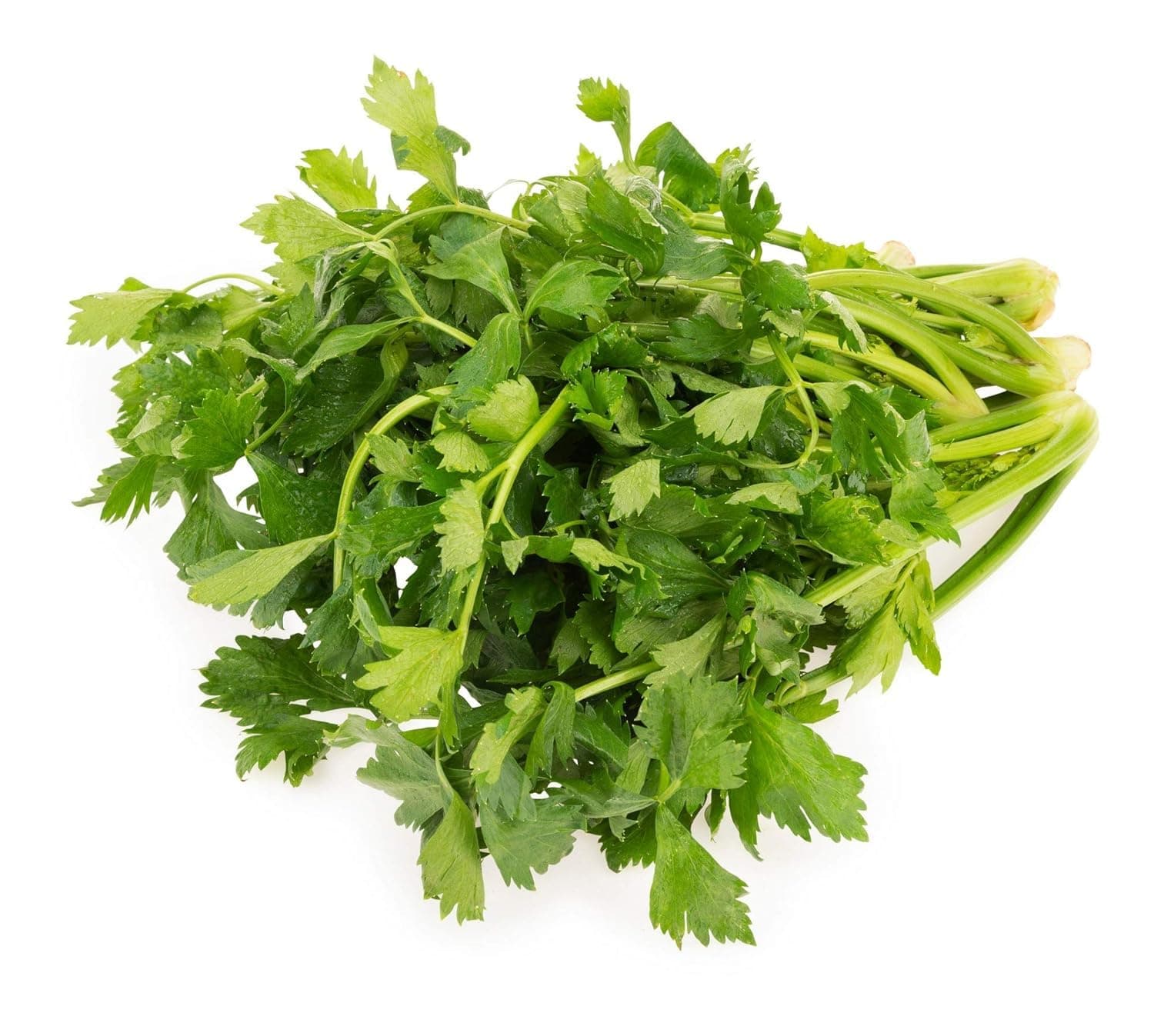 Parsley, 100g